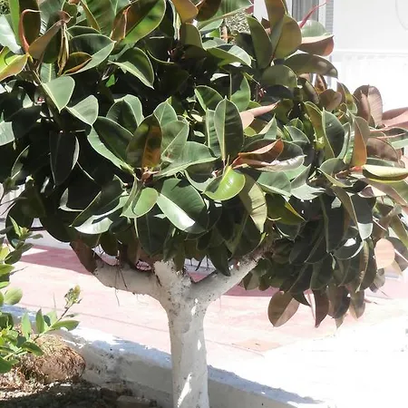 Billy's Apartman Amúdi